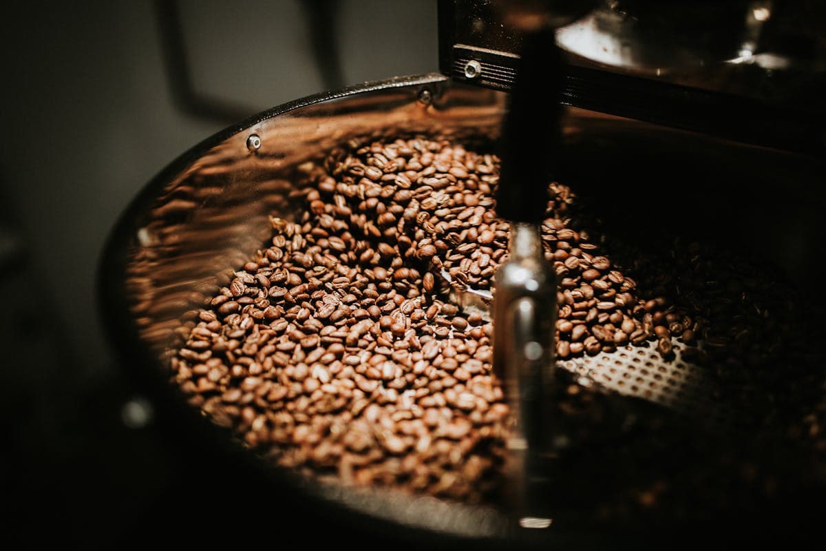 Comparacion visual entre granos de cafe de especialidad y comercial