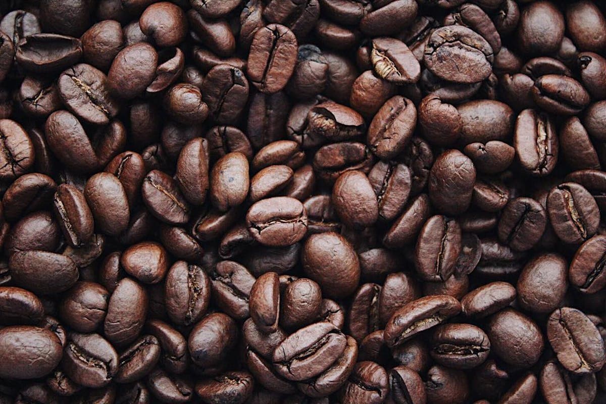 Camas africanas de secado de cafe en Yirgacheffe, Etiopia